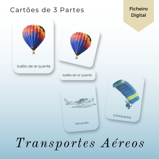 Transportes Aéreos - Cartões de 3 Partes