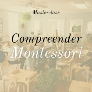 Compreender Montessori: Iniciação à Psicopedagogia